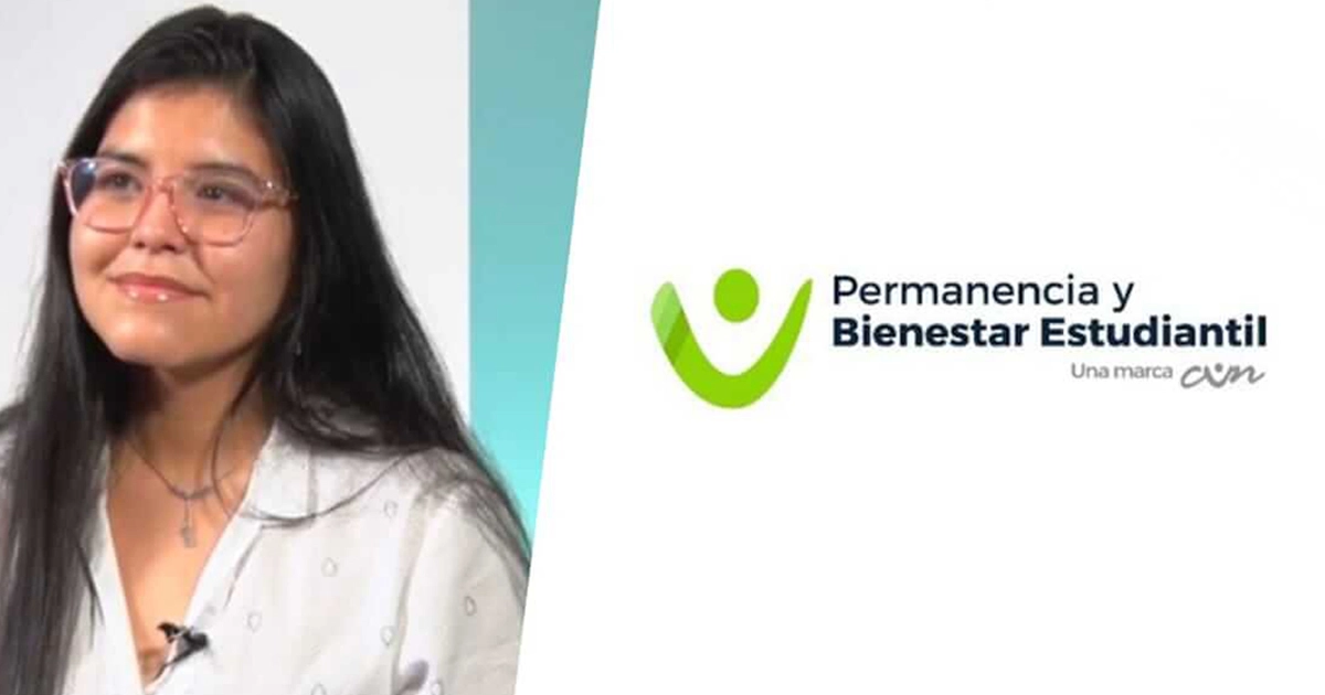 bienestar permanencia artículo