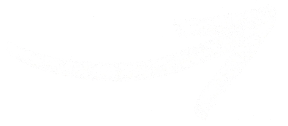 Diplomados 7 Acá nuestros diplomados