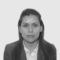 Ingeniería Industrial 11 Leila Nayibe Ramírez