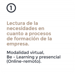 adaptemonosalfuturo 6 visum